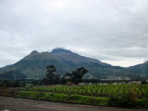 Quito_Cayambe_Volcanoes_Holly Callahan